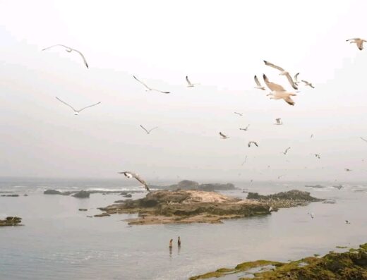 Excursion Essaouira